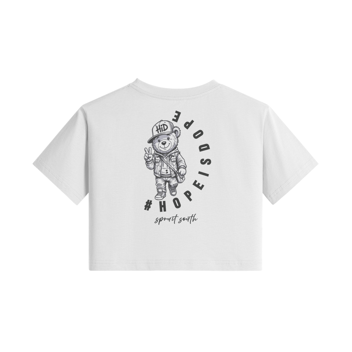 0-Y74-Back Side